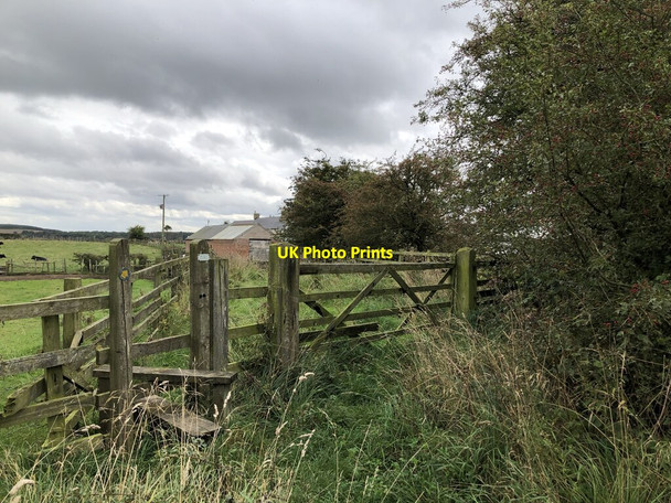 Photo 6"x4" Path To Black Hurworth South Wingate c2021