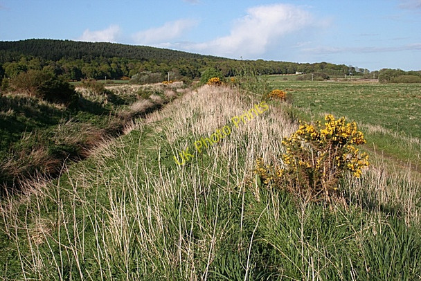 Photo 6"x4" Mosstowie Canal Miltonduff c2009