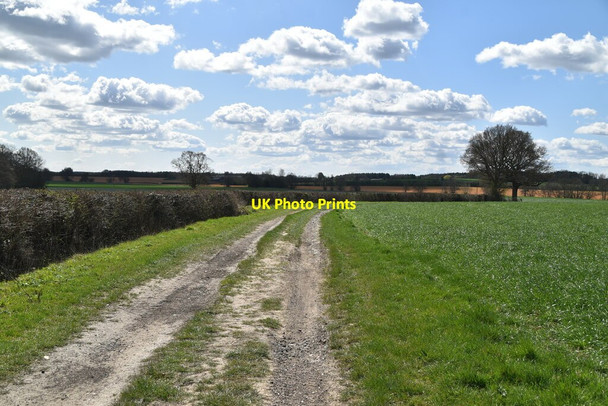 Photo 6"x4" Stour Valley Walk Little Chart Forstal c2021