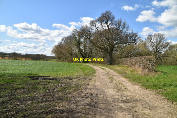 Photo 6"x4" Stour Valley Walk Little Chart Forstal c2021 P1