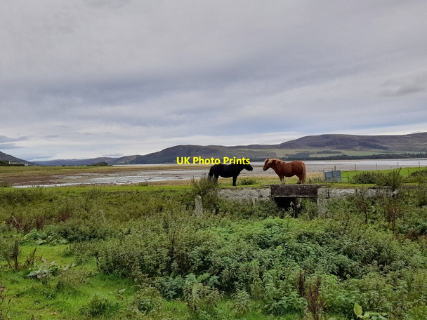 Photo 6"x4" Traffic Jam Skelbo c2021