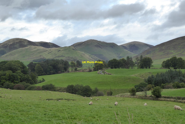 Photo 6"x4" Looking across Carron Water Durisdeer c2021