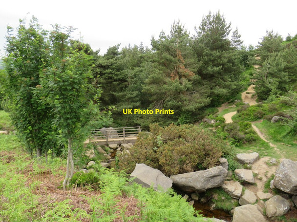Photo 6"x4" Bridge over Backstone Beck, Ilkley Moor Ilkley c2021