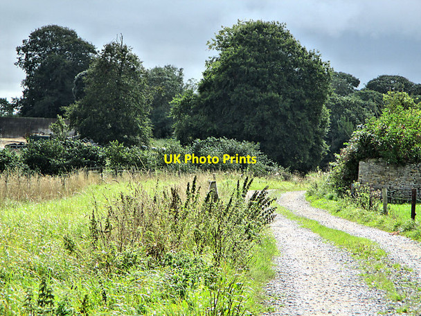 Photo 6"x4" Rural Lane Jenkinstown\/S4566 c2021