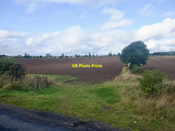 Photo 6"x4" Winter cereals, Stodrig Old Nenthorn c2021