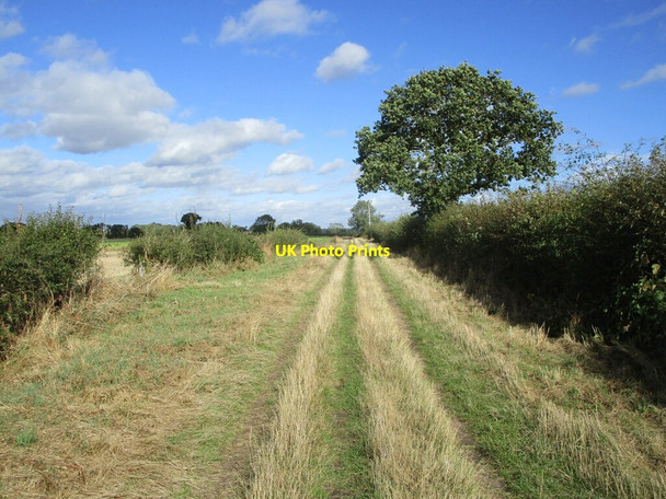 Photo 6"x4" Bridleway from Swinderby Road, Collingham to South Scarle Collingham\/SK8361 c2021