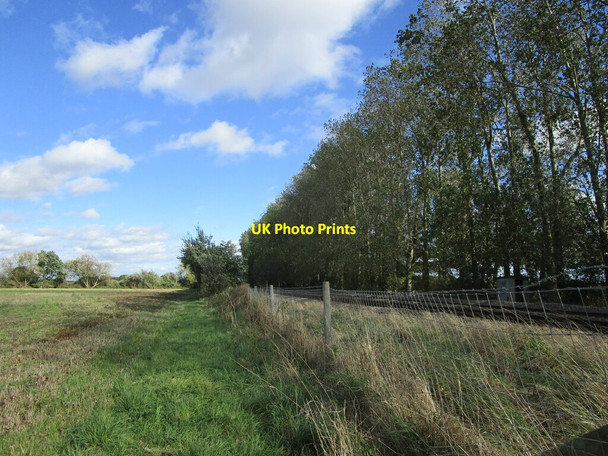 Photo 6"x4" Trees alongside the railway Collingham\/SK8361 c2021