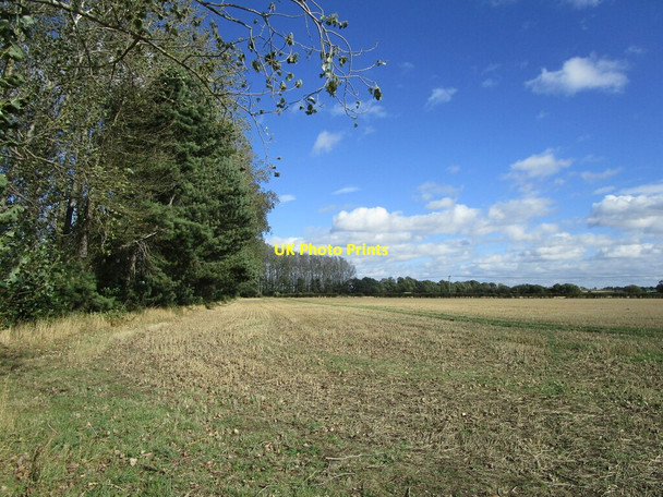 Photo 6"x4" Stubble field alongside the railway Collingham\/SK8361 c2021