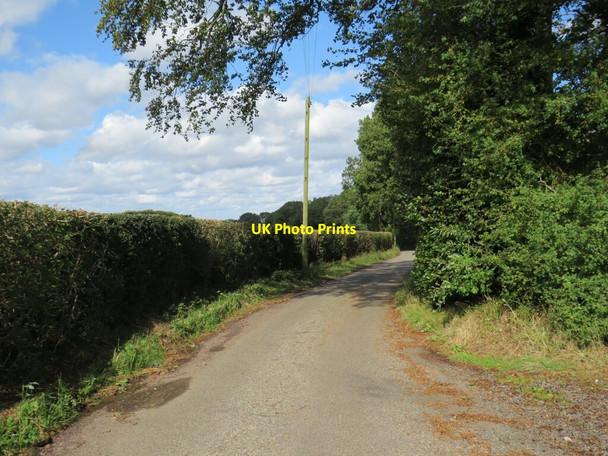 Photo 6"x4" Bower Lane, near Eynsford East Hill\/TQ5562 c2021 P2