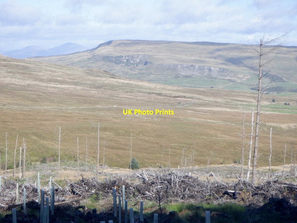 Photo 6"x4" Clearfell and view Lecket Hill c2021
