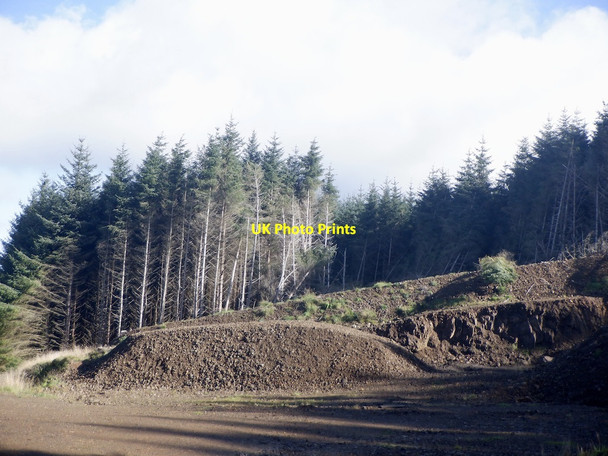 Photo 6"x4" Forestry road and quarry Lecket Hill c2021