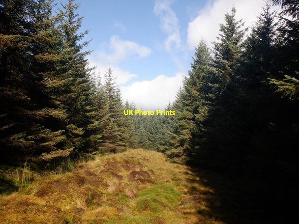 Photo 6"x4" Ride, Drove Hill Bin Burn c2021