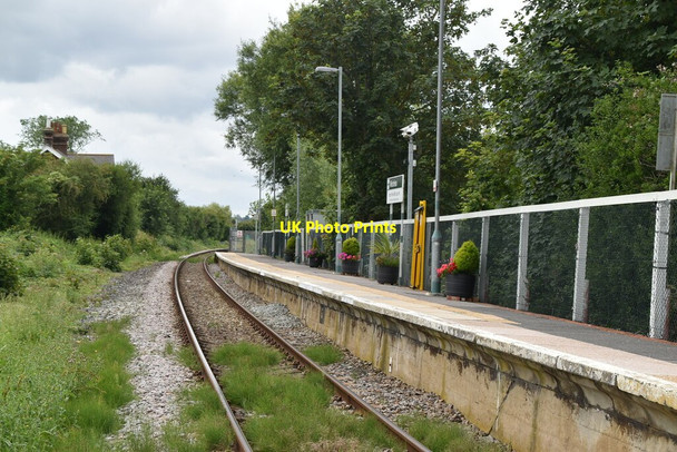 Photo 6"x4" Winchelsea Station Rye c2021