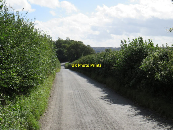 Photo 6"x4" Kemsing Road, near Wrotham Heaverham c2021