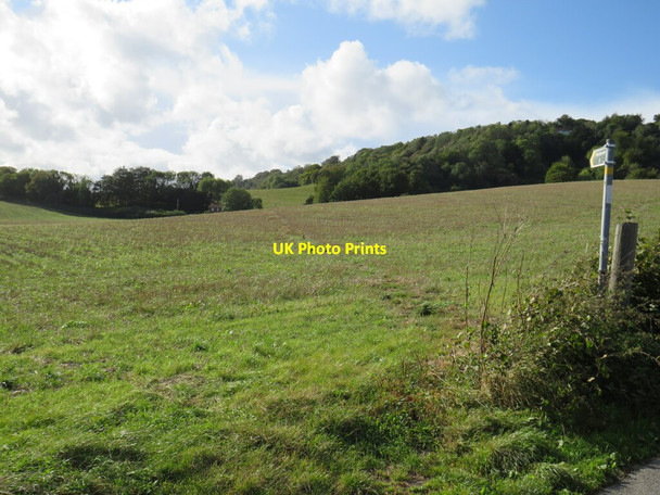 Photo 6"x4" Footpath near Trottiscliffe Wrotham Heath c2021