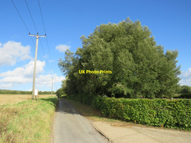 Photo 6"x4" Wrotham Water Lane, near Trottiscliffe Wrotham Heath c2021