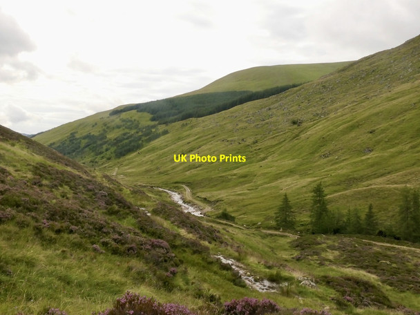 Photo 6"x4" Glen Lochsie Glenlochsie Lodge c2021