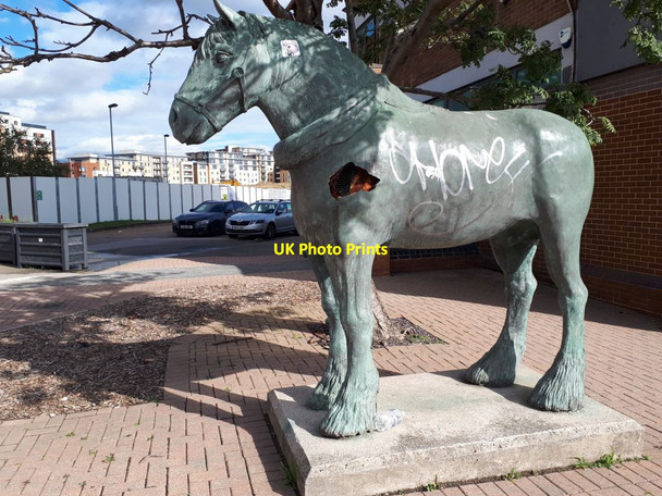 Photo 6"x4" Poor old horse Leeds\/SE3034 c2021