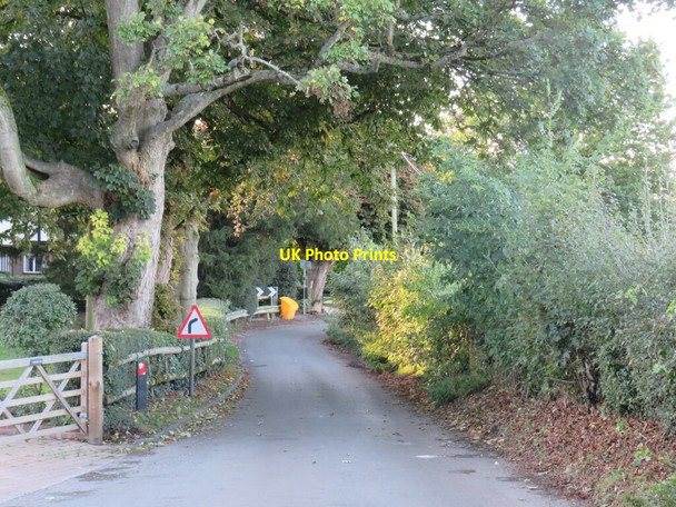Photo 6"x4" David Street, Harvel, near Meopham Harvel c2021