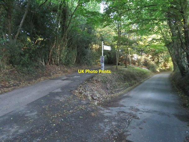 Photo 6"x4" Lanes diverging near Meopham David Street c2021
