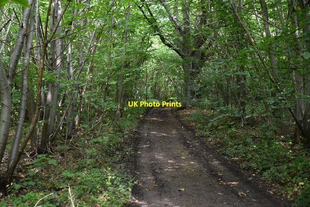 Photo 6"x4" Bridleway, Capel Wood Anvil Green c2020