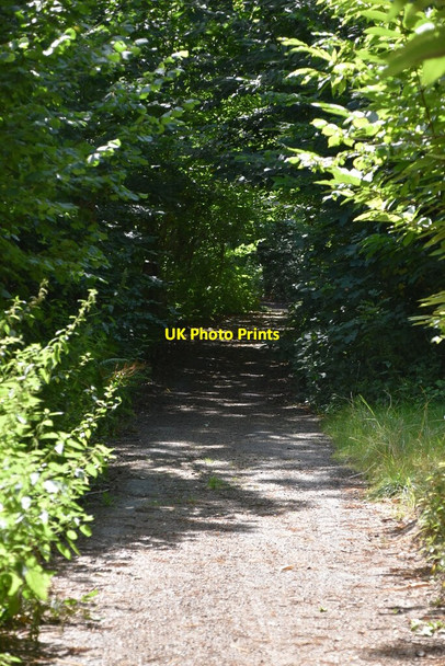 Photo 6"x4" Bridleway, Dunstan's Wood Anvil Green c2020