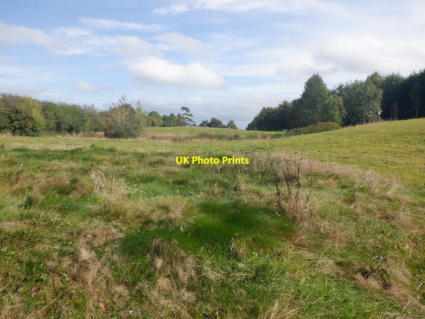 Photo 6"x4" Former golf course, Welsh Frankton Perthy c2021