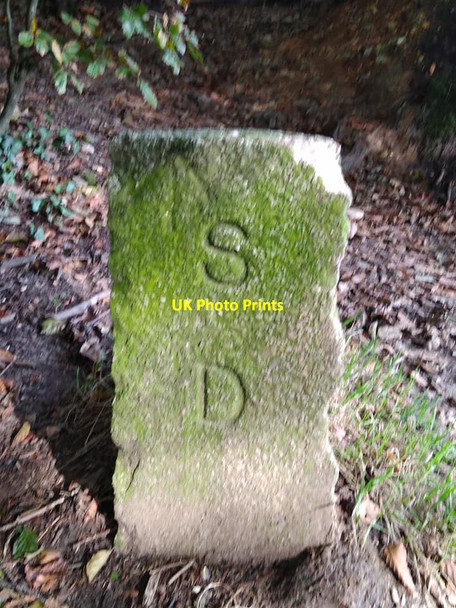 Photo 6"x4" Boundary Stone, Holloway Head Cross Coombe\/SY1091 c2021