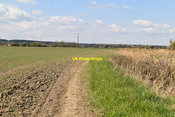 Photo 6"x4" Saxon Shore Way Appledore\/TQ9529 c2021 P1