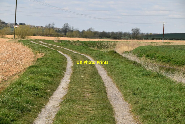 Photo 6"x4" Saxon Shore Way Stone in Oxney c2021 P1