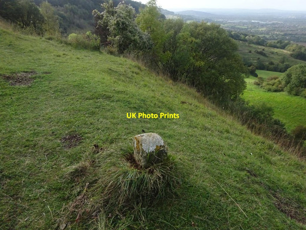 Photo 6"x4" Boundary Stone, Barrow Wake, Birdlip Barrow Wake c2021
