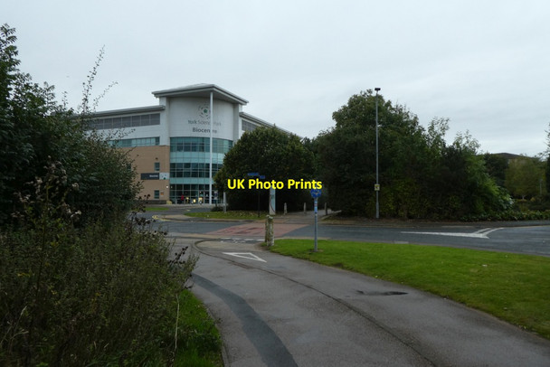 Photo 6"x4" Cycle path and Biocentre Heslington c2021