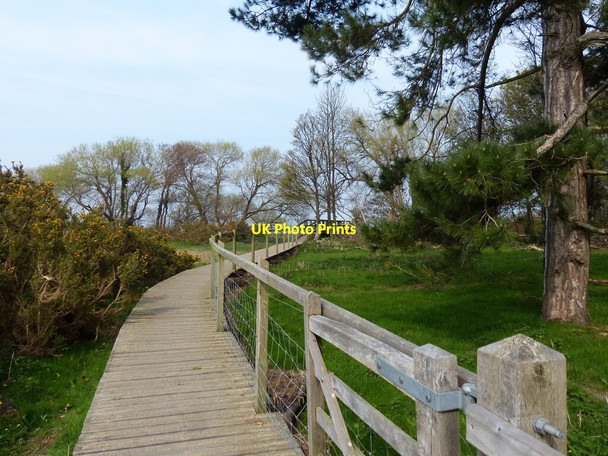 Photo 6"x4" Boardwalk along the Wales Coast Path Abergwyngregyn c2019