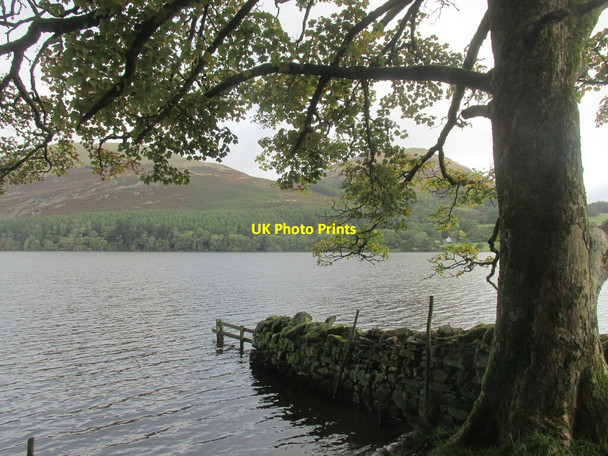 Photo 6"x4" Loweswater from the shoreside path. Waterend\/NY1122 c2021