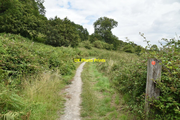 Photo 6"x4" 1066 Country Walk Rye c2021