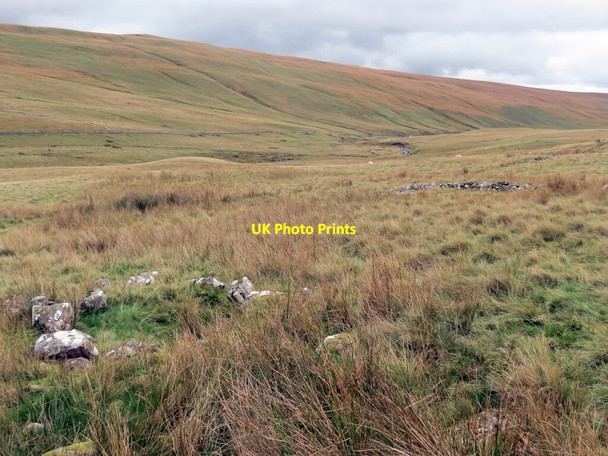 Photo 6"x4" Gweddillion lloc bach crwn \/ Remains of a small circular enclosure Moel Feity c2021