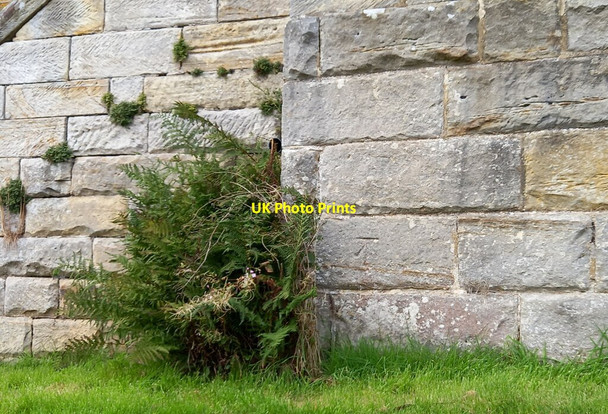 Photo 6"x4" Glaisdale, Methodist church Street\/NZ7304 c2021