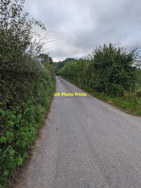Photo 6"x4" Hedge-lined road towards Wolvesnewton Gaer-fawr c2021