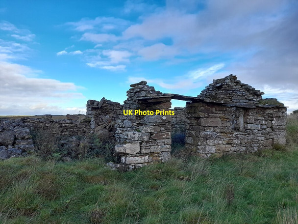 Photo 6"x4" Ruin at Shurrery Broubster c2021