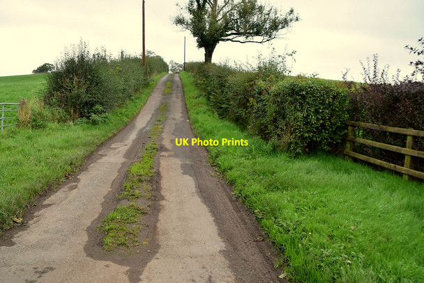 Photo 6"x4" Baronagh Road Fintona c2021 P1