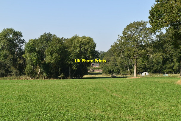 Photo 6"x4" Pasture and trees Horshoe Green c2021