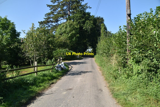 Photo 6"x4" Moat Lane Cowden\/TQ4640 c2021