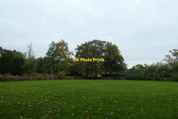 Photo 6"x4" Hull Road Park York\/SE5951 c2021