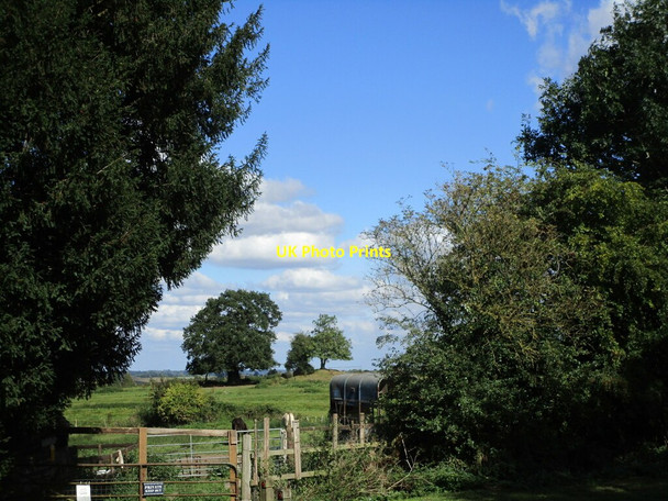 Photo 6"x4" Grass field with trees, Snitterfield Snitterfield c2021