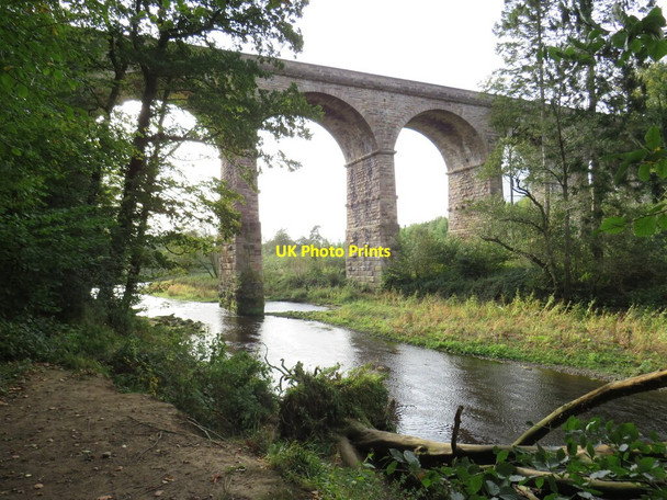 Photo 6"x4" Nidd Viaduct, near Harrogate Bilton\/SE3057 c2021 P1