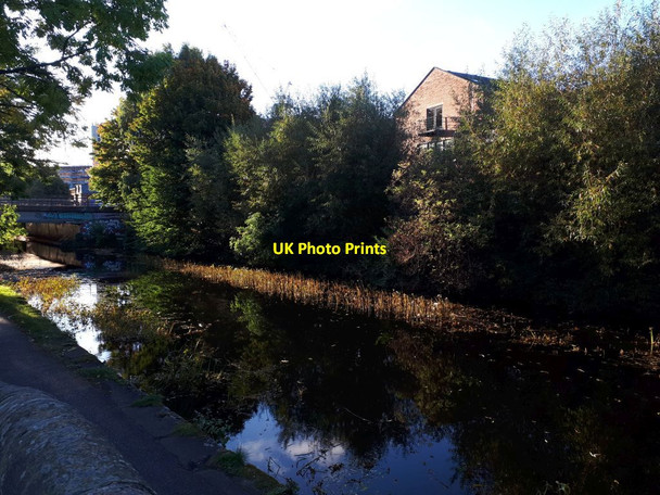 Photo 6"x4" Morning on the canal near Leeds Leeds\/SE3034 c2021