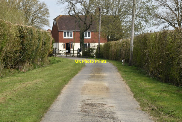 Photo 6"x4" Track to The Century Farm Leigh Green c2021