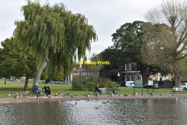 Photo 6"x4" Pond on Blackheath Greenwich\/TQ3977 c2021
