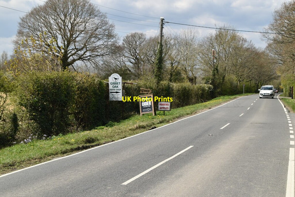 Photo 6"x4" Appledore Rd Tenterden c2021