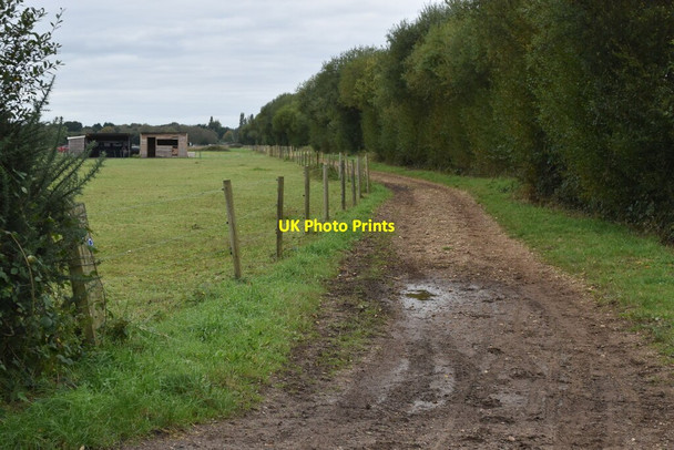 Photo 6"x4" Bridleway between paddocks north of Woolsbridge Woolsbridge c2021